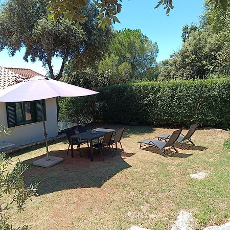 Garden Daire Pjescana Uvala Dış mekan fotoğraf